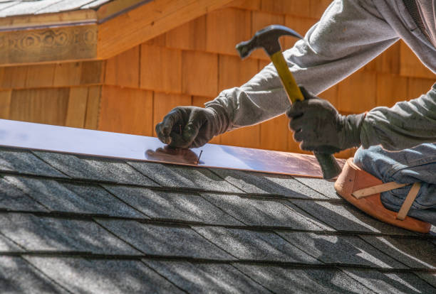 Best Steel Roofing  in Westchase, FL