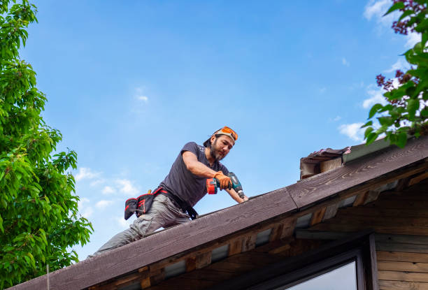 Best Metal Roofing Installation  in Westchase, FL