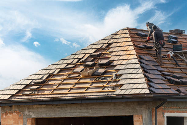 Best Storm Damage Roof Repair  in Westchase, FL
